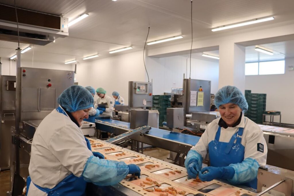 Workers on a production line in a seafood processing factory