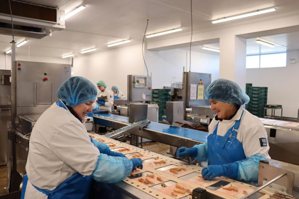 Two fish workers on a processing line dressed in hygiene safe clothing