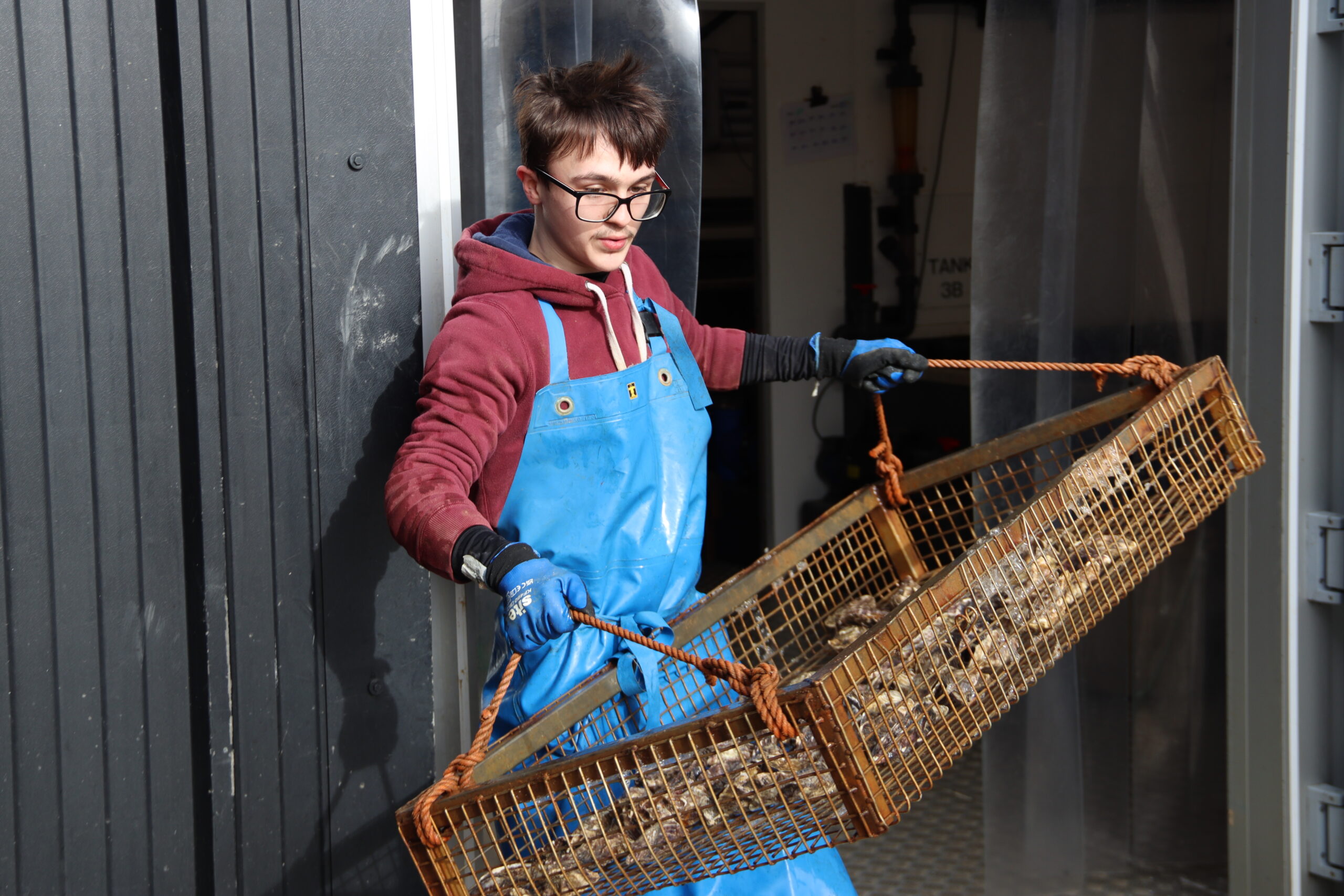 Fishmonger Training Learner journey resources for fishmonger apprentices month sixteen ...