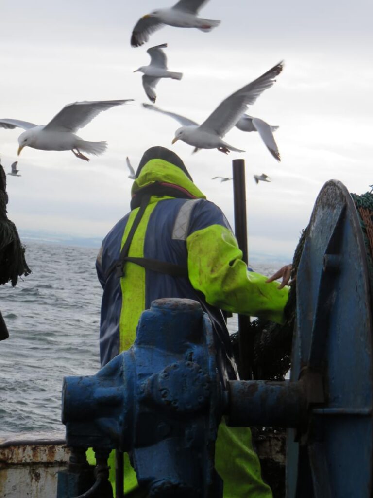 Fisher looks into the sea as seagulls hover overhead