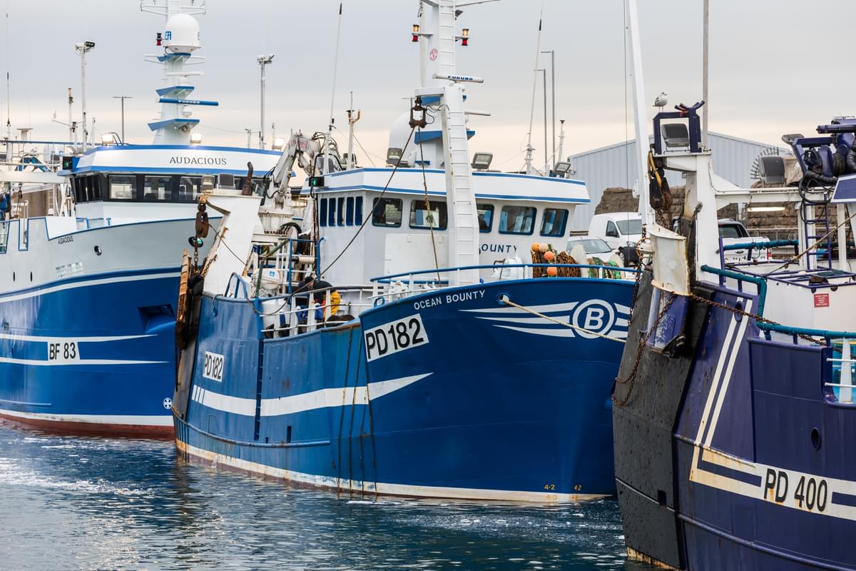 Fishing boats in a harbour