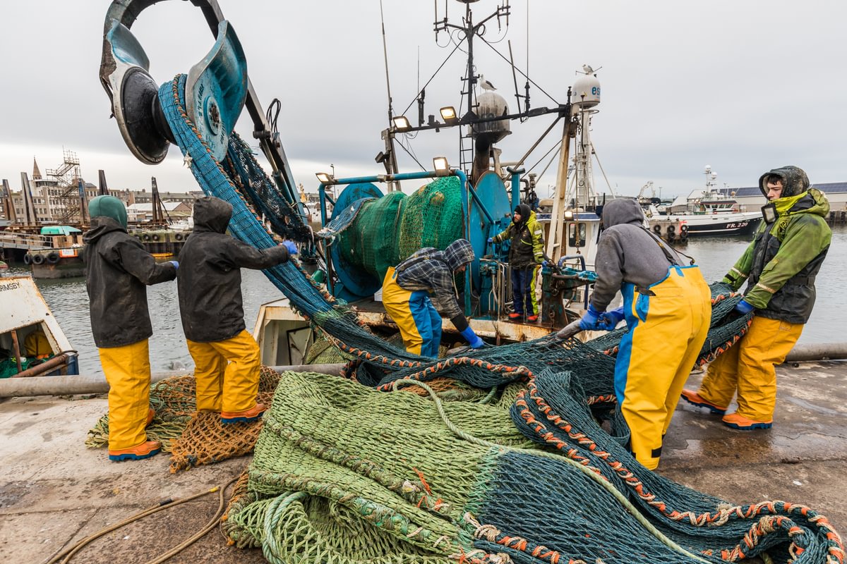 Fishermen heaving nets onto the quayside