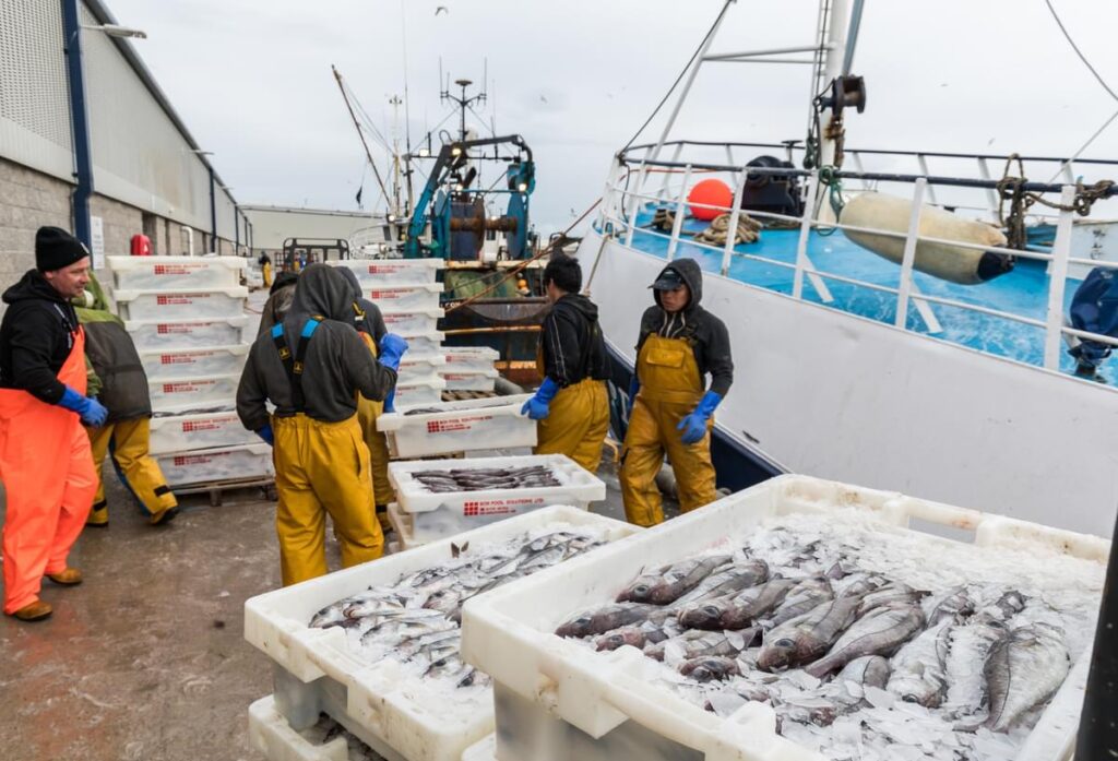 Image of a boat and landed boxes of fish, with the fishermen at Peterhead