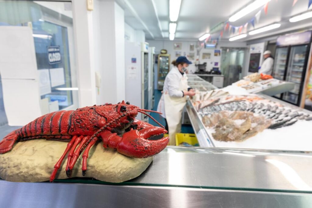 Model lobster in the foreground, fish display in the background