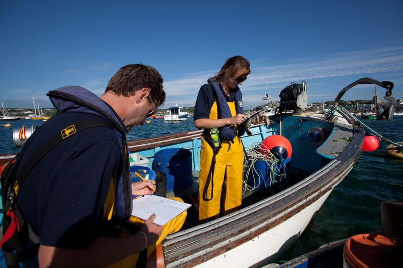 Two people on a small boat checking an verifying lobsters